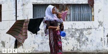 Top UN court begins hearings in Rohingya genocide case