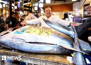 Tokyo fish auction sees bluefin tuna fetching record $3.2m