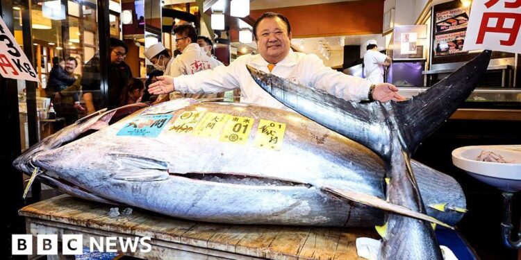 Tokyo fish auction sees bluefin tuna fetching record $3.2m