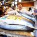 Tokyo fish auction sees bluefin tuna fetching record $3.2m