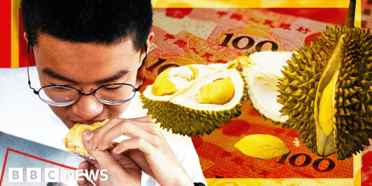 Town cashing-in on China’s billion-dollar appetite for luxury durian