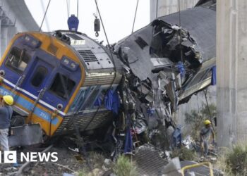 Residents describe ‘terrifying’ carnage after crane falls on moving train