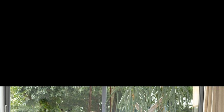 European Culture Fall 2026 Ready-to-Wear Collection