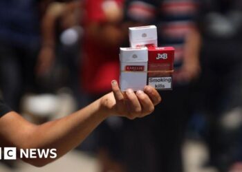 Israeli intelligence chief's brother charged with smuggling cigarettes into Gaza