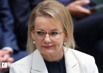 Sussan Ley and the glass cliff: Does Australian politics still have a problem with women?