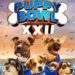 Puppy Bowl 2026 features NFL-inspired pups