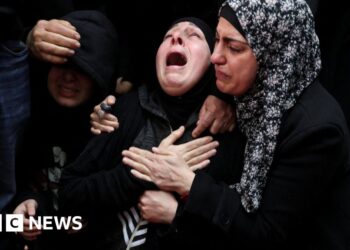 Family of Palestinian-American man killed in West Bank demand accountability