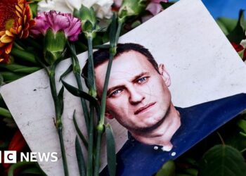 Russia killed opposition leader Alexei Navalny using dart frog toxin, UK says