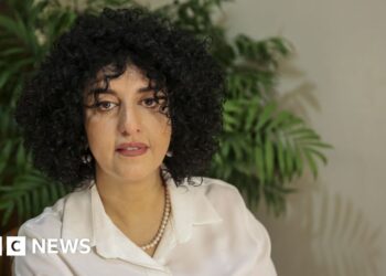 Iranian Nobel laureate handed further prison sentence, lawyer says