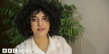 Iranian Nobel laureate handed further prison sentence, lawyer says