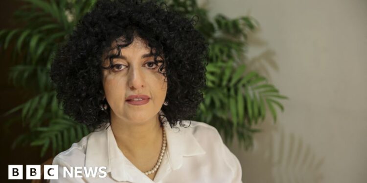 Iranian Nobel laureate handed further prison sentence, lawyer says