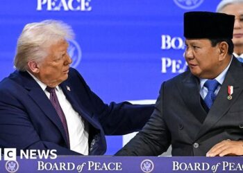 Indonesia preparing to deploy up to 8,000 soldiers to Gaza