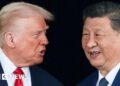 US must be prudent when supplying arms to Taiwan, Xi tells Trump