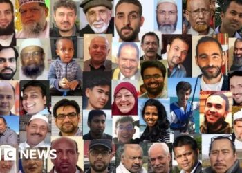 Christchurch shooter seeks to overturn guilty plea