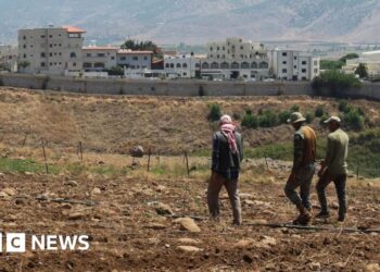 Lebanon says Israel sprayed southern villages with concentrated herbicide