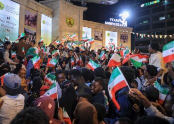 Somaliland minister says US may access its minerals, military bases: Report | News