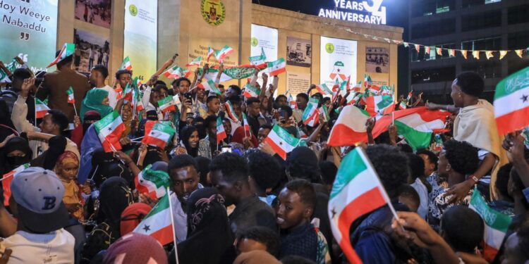 Somaliland minister says US may access its minerals, military bases: Report | News