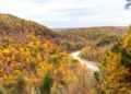 The Ultimate Guide to Letchworth State Park in New York