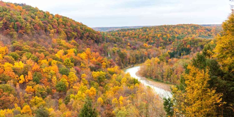 The Ultimate Guide to Letchworth State Park in New York