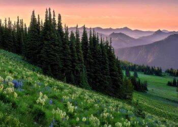 12 Most Beautiful National Parks in the U.S.