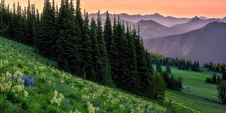 12 Most Beautiful National Parks in the U.S.