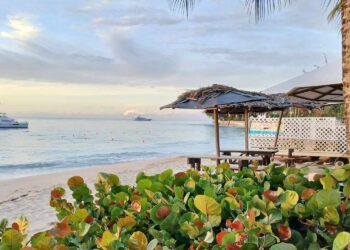 8 Best Bars and Restaurants in Barbados Locals Love