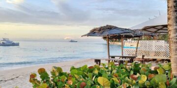 8 Best Bars and Restaurants in Barbados Locals Love