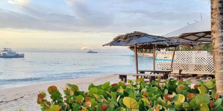 8 Best Bars and Restaurants in Barbados Locals Love