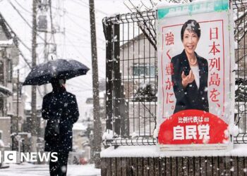 Japanese people brave snow to vote in snap election