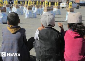 Yemen’s Houthi rebels drive aid groups to the brink
