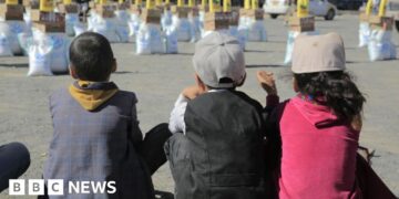 Yemen’s Houthi rebels drive aid groups to the brink