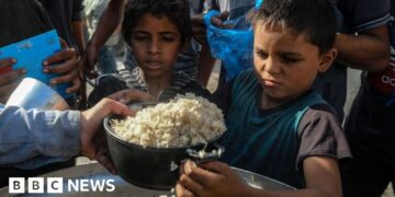 Aid groups in Gaza and West Bank thrown lifeline as Israel court pauses ban threat