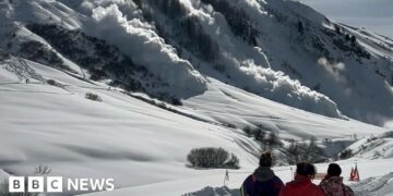 Have there been more this winter?