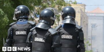 Senegal arrests 14 members of alleged paedophile gang linked to France