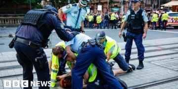 Sydney police to be investigated by watchdog after anti-Herzog protest violence