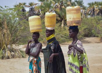 ‘How do I survive?’ Drought plagues Kenya’s Turkana amid surplus elsewhere | Drought News