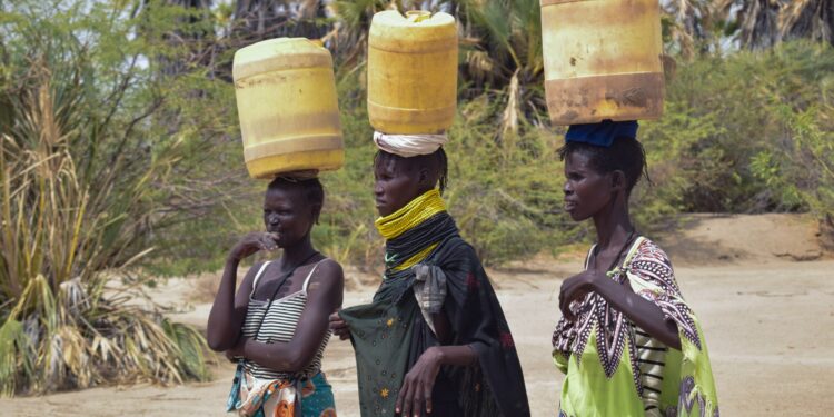 ‘How do I survive?’ Drought plagues Kenya’s Turkana amid surplus elsewhere | Drought News