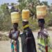 ‘How do I survive?’ Drought plagues Kenya’s Turkana amid surplus elsewhere | Drought News