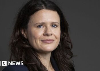 Partner of UK MP arrested on suspicion of spying for China, BBC told