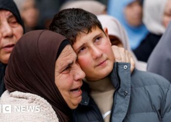 'My mother cried out one last time': Palestinian boy, 12, describes how Israeli forces killed his family in car