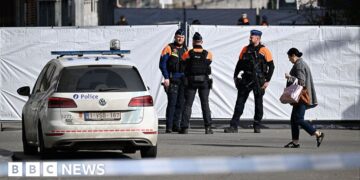 Blast outside Belgium synagogue was 'antisemitic act', mayor says