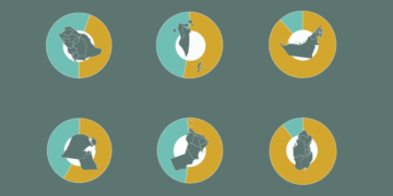 Where do the 35 million foreigners living in the GCC come from? | Infographic News