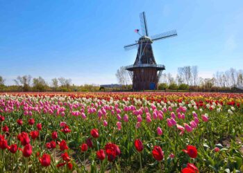 Holland, Michigan, Travel Guide