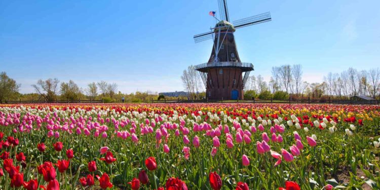 Holland, Michigan, Travel Guide