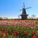 Holland, Michigan, Travel Guide