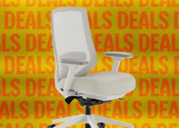 The Best Office Chair Is $50 Cheaper Than We’ve Seen Before
