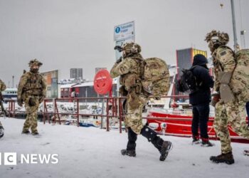 Denmark planned to blow up Greenland runways if US invaded, reports say