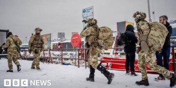 Denmark planned to blow up Greenland runways if US invaded, reports say