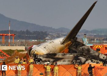 South Korea police raid transport ministry over Jeju Air crash