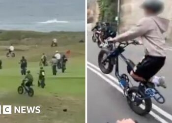 Fatbikes are wreaking havoc in Sydney's wealthy beach suburbs